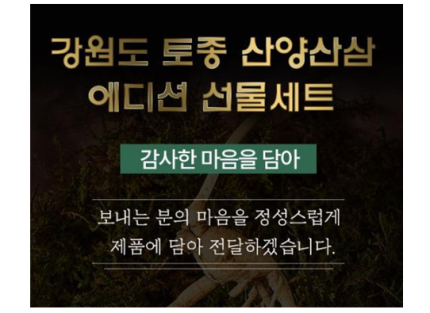 [더 기다림] 강원도 토종 산양산삼 선물세트 2호 산양삼 5뿌리 [5년~6년근]