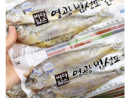 진공포장굴비 1호, 1.9kg내외(30미), 1박스