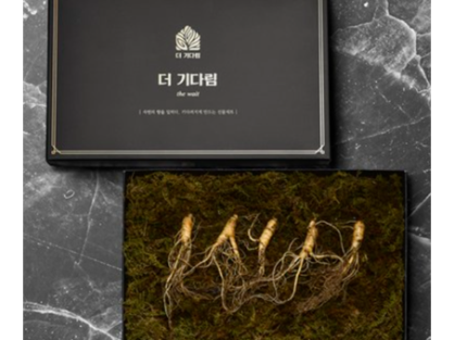 [더 기다림] 강원도 토종 산양산삼 선물세트 2호 산양삼 5뿌리 [5년~6년근]